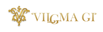 VILGMA GI Logo